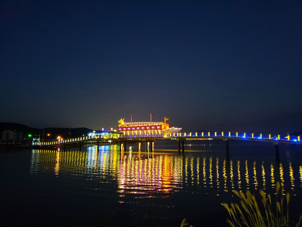A pedestrian bridge with a turtle ship illuminated colorfully at night