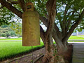 A fairly large metal bell hanging from an old tree