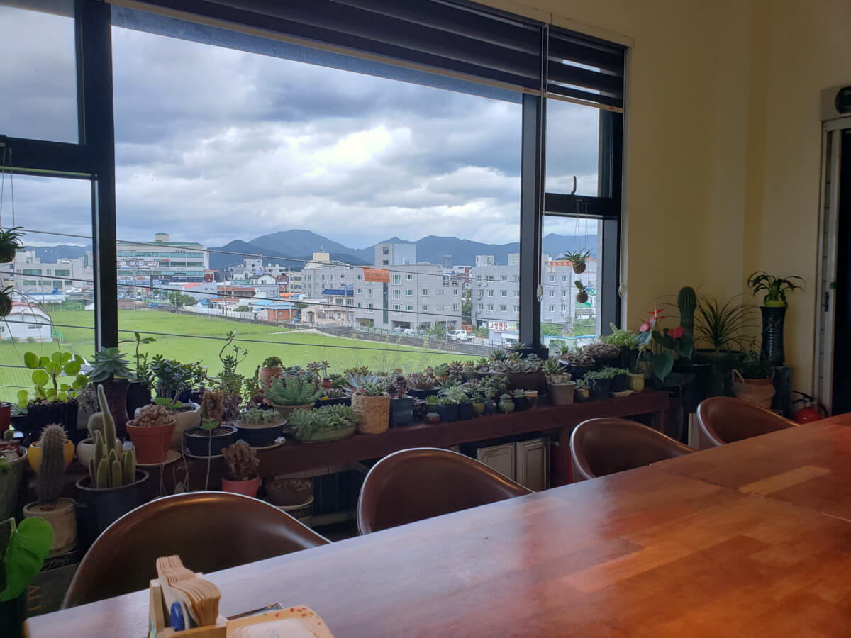 Large table at Dal Café near window lined with small potted plants featured