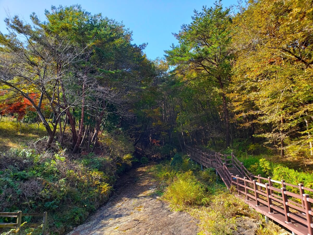 A rocky area of dinosaur footprints along a trail in the park