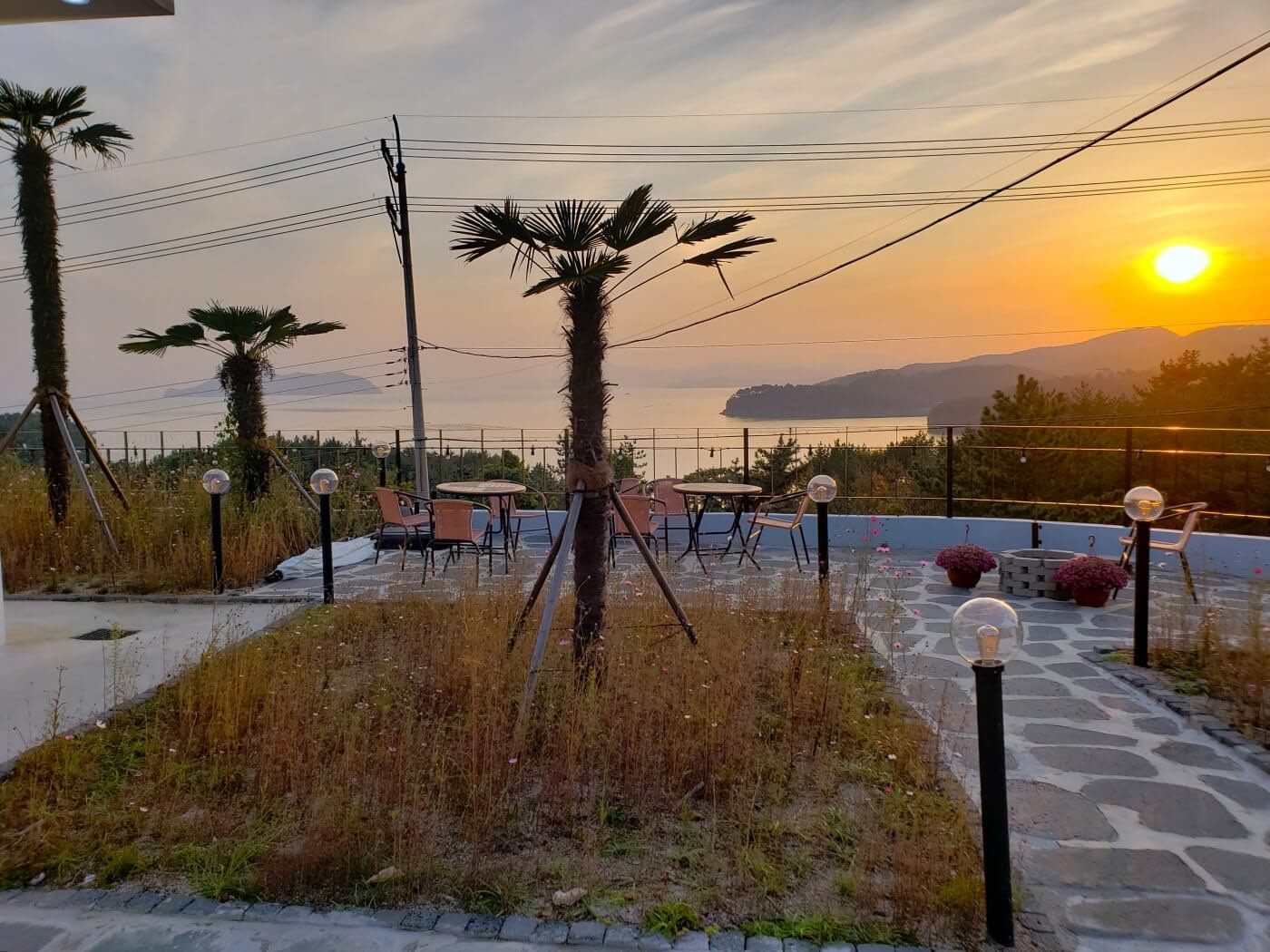 A sunset view from an outdoor patio with palm trees at The Wave Café in Goseong