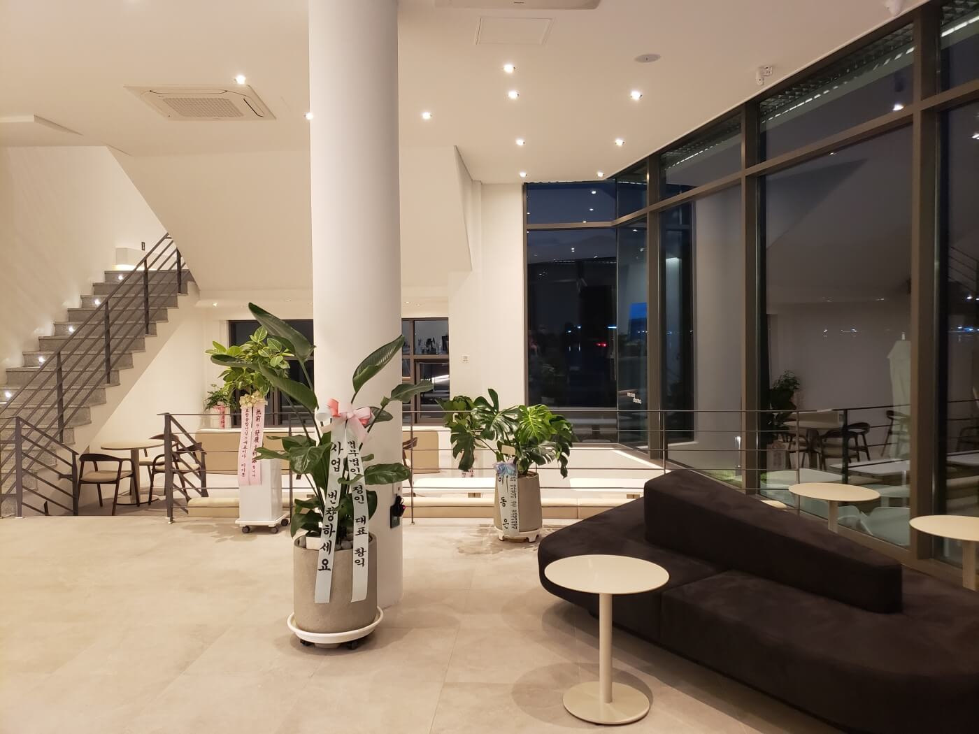 Plants with congratulatory ribbons inside the newly opened Nessun Dorma Café in Goseong