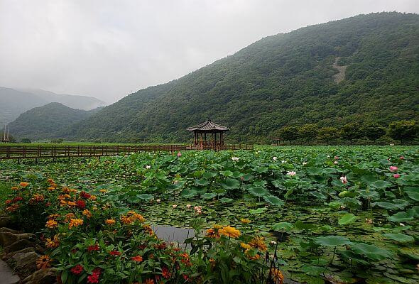 Sangri Lotus Park parks card