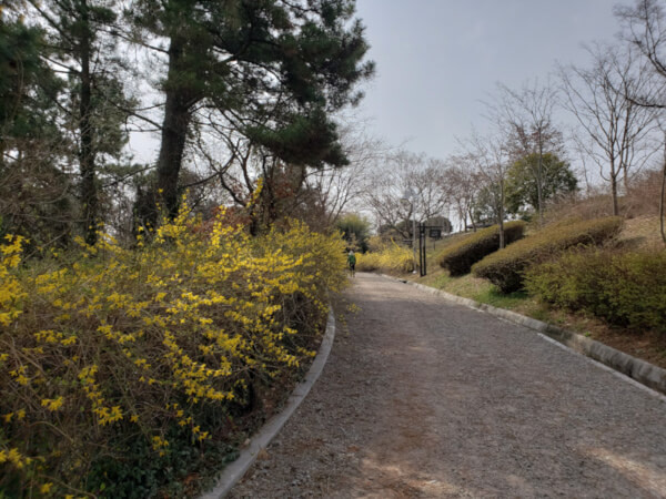 Walking up to Namsan on gravel path