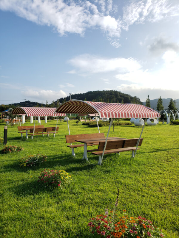 Covered picnic tables with long shadows cast on the grass from a setting sun