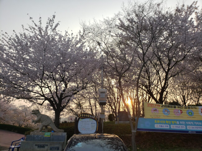Parking lot with stone dinosaur water station