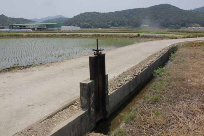 A valve for controlling irrigation to rice fields