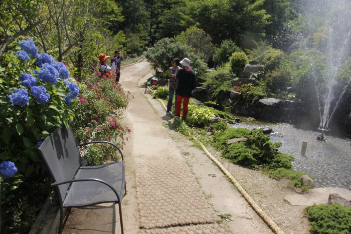 People taking photos with hydrangea flowers and a water fountain