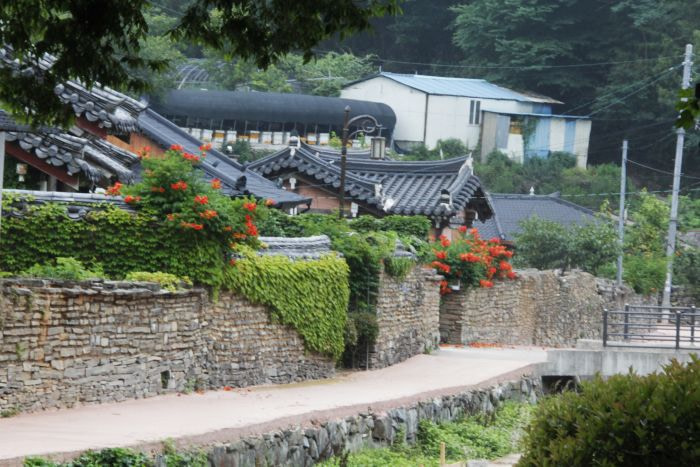 Vines growing over the old walls of Hakdong Village