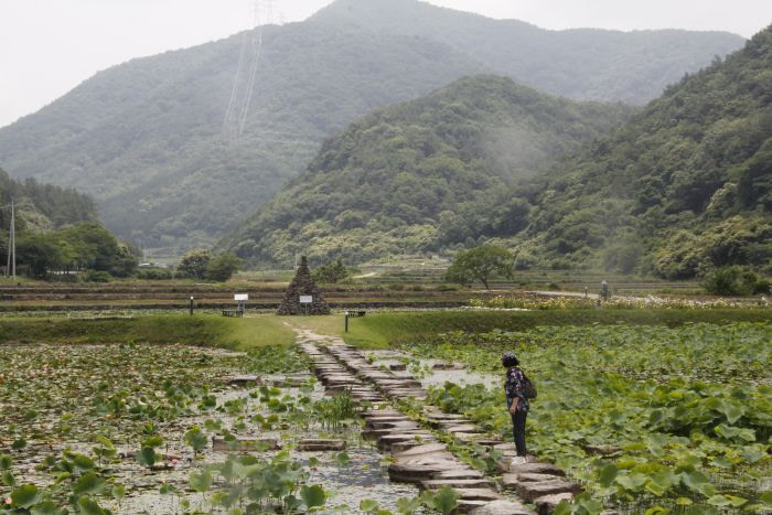 A stone pagoda at the end of a set of stones crossing a lotus and lily pond at the base of misty mountains in Goseong, Gyeongnam, Korea