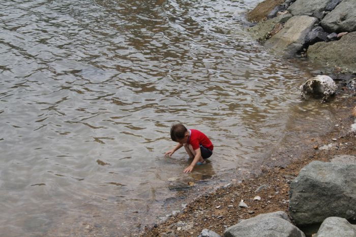 A toddler in a red shirt playing in the water