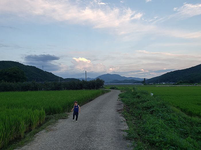 Noah walking down a small road between rice fields