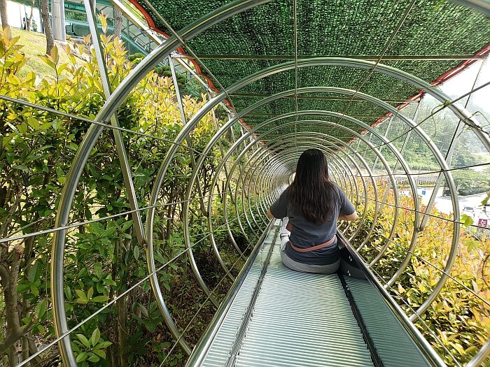 A person going down a conveyor slide through circular metal rings with bushes on the sides and a covering overhead