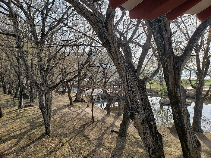 View of a forest and pond from a gazebo