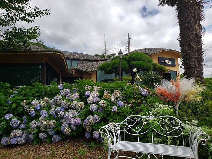 Hydrangeas along a white, iron bench outside at Café Rio
