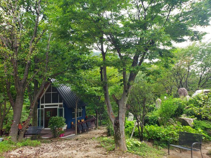A small building in the forest next to a garden