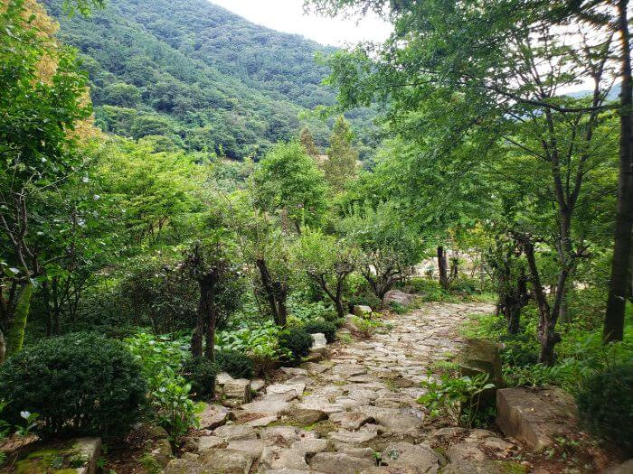 Stone pathway through bushes