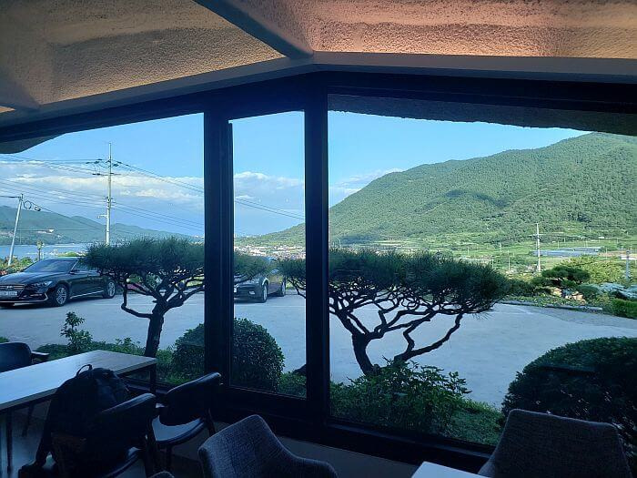 Two interesting trees in front of a large window with a nice view