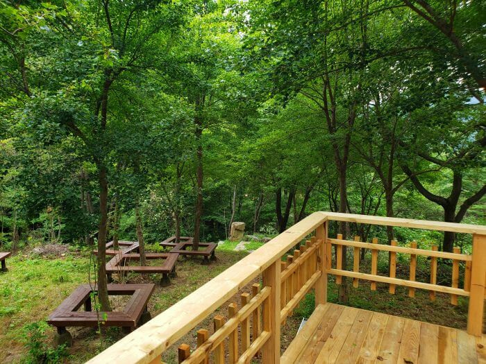 A wooden railing around a deck in a forest and wood beams around trees in a yard