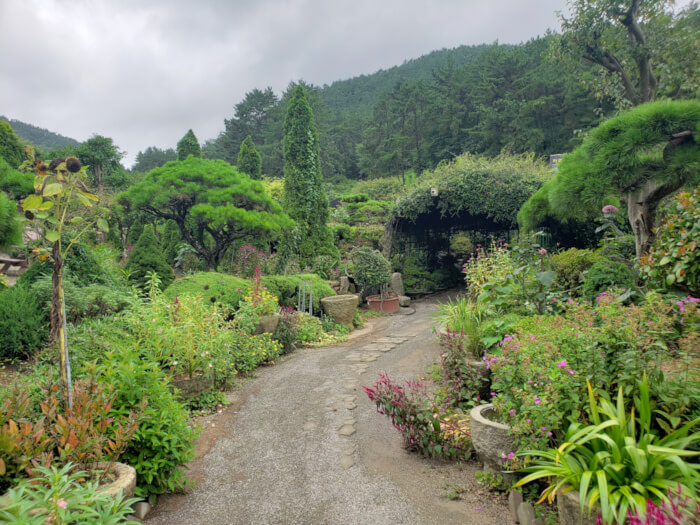 Path leading into a tunnel through the outdoor garden