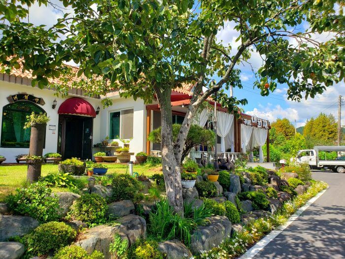 A grassy yard with a tree and rocks on the side next to a small road