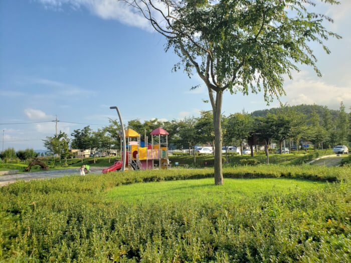 A single tree surrounded by grass and plants in front of a playground with blue sky