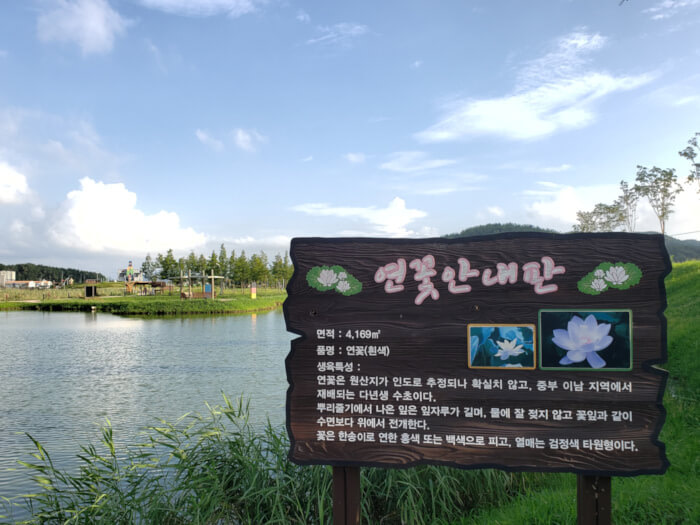 A signpost for lotus flowers in front of the reservoir