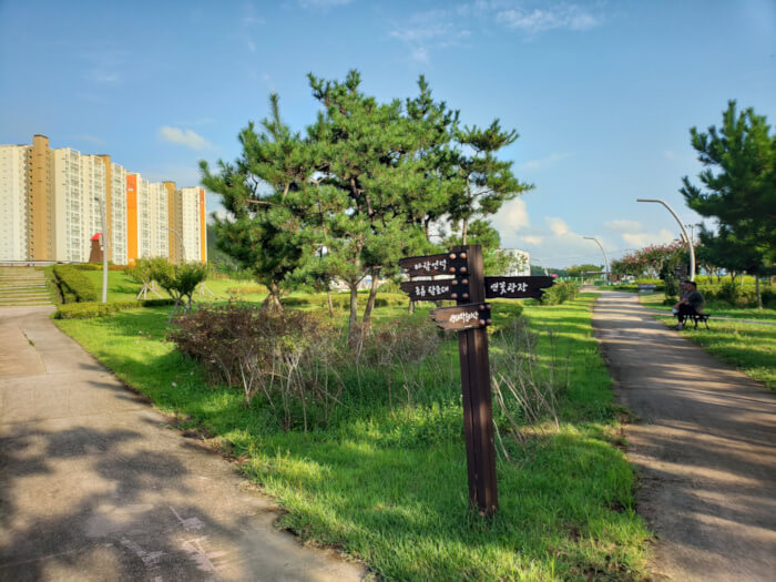 Paths converging around a tree with apartments in the background on a blue sunny day