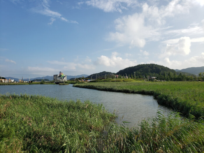 Calm water among reeds and tall green grass with clouds and a blue sky