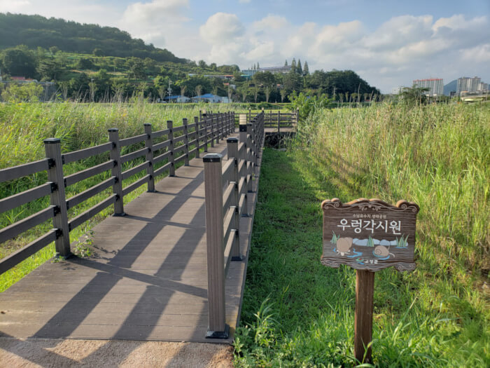 Boardwalk over a grassy area near a sign with snails illustrated