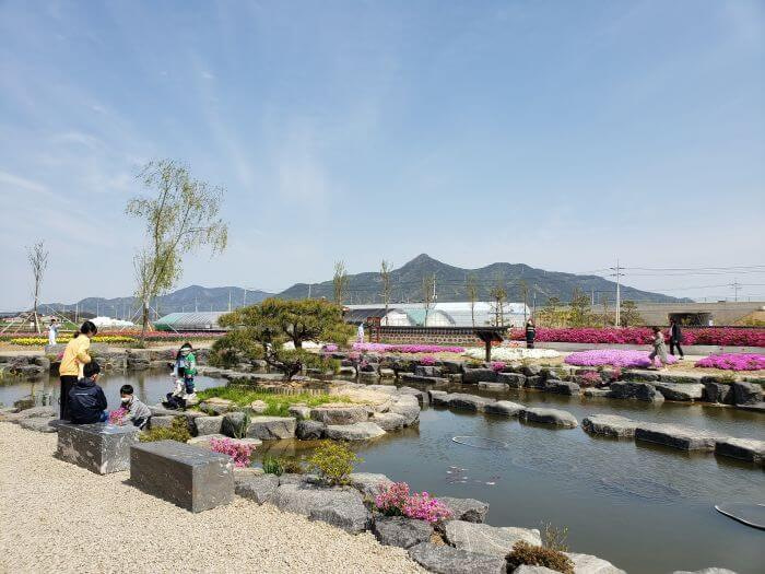 Bonsai tree in the middle of the pond with rocks across the pond and Mt. Georyusan in the background