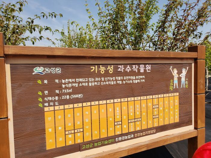 Diagram of the experimental orchard