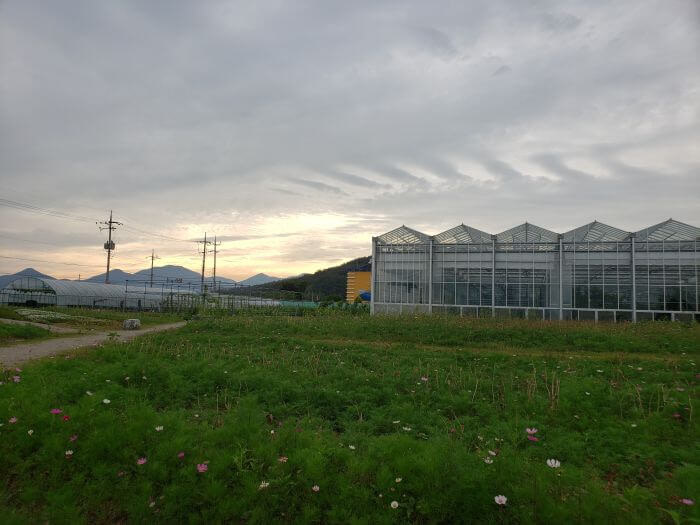 Greenhouses next to a garden at sunset with a mountainous background