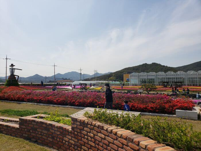 Brick wall in healing herb garden containing some plants bordered by flowering red bushes