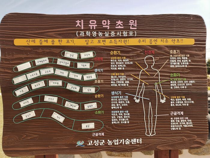 Map of the healing herb garden with the each row labeled and a diagram of the body