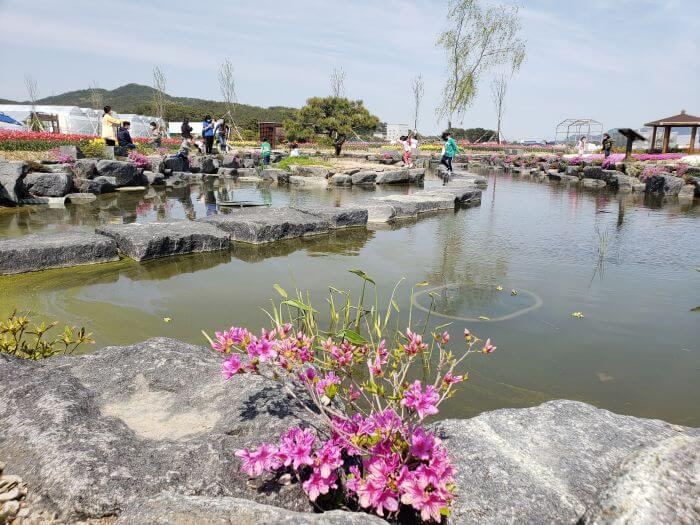 Kids skipping across the rocks in a pond with a small bonsai tree in the middle
