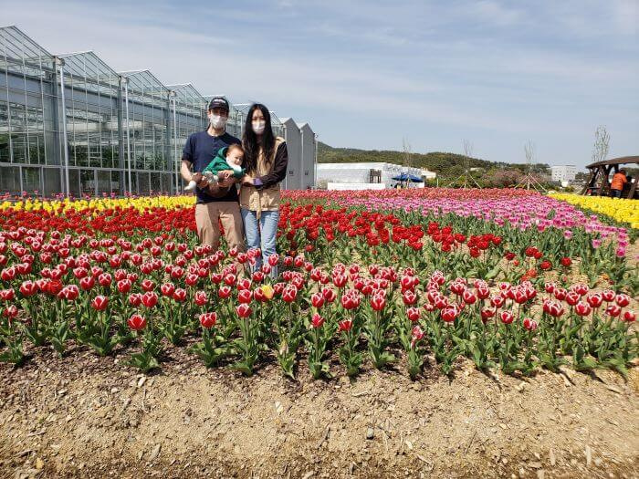 Nate and Alice and Noah standing among various colors of tulips in front of some greenhouses