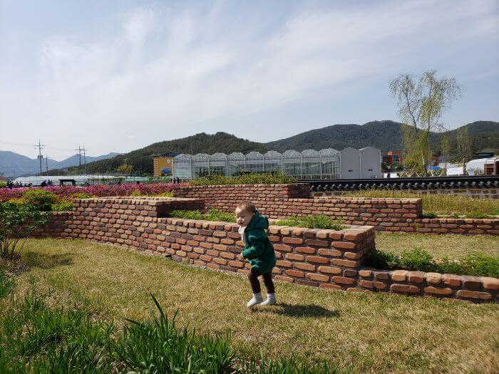 Noah standing in the grass between rows of plants at the healing herb garden