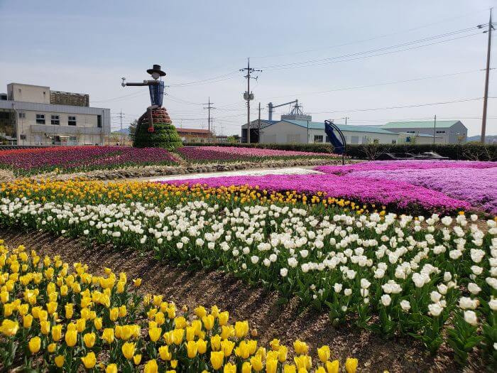 Scarecrow with a hat among tulips and flowers