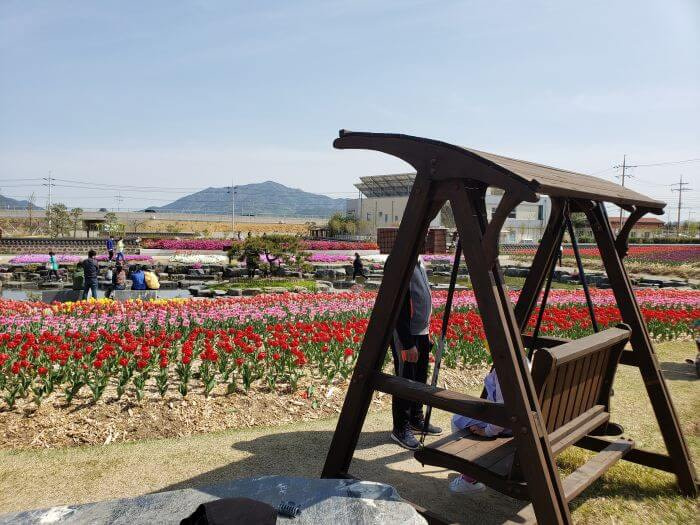 Wooden swing facing red tulips and a small pond with a mountainous background