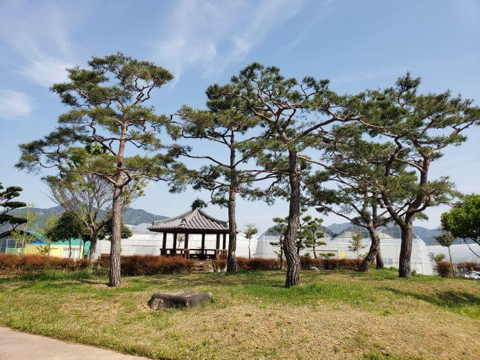 A handful of pine trees in front of a small pavilion behind the greenhouses
