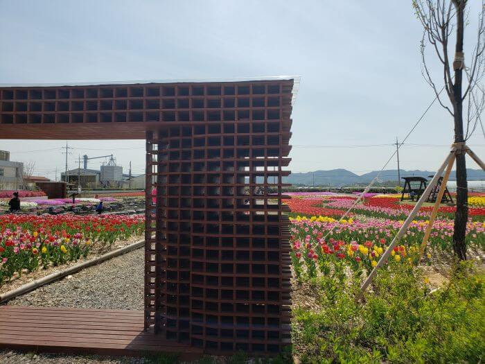 Lattice-style entrance to the tulip garden at Goseong Agricultural Technology Center