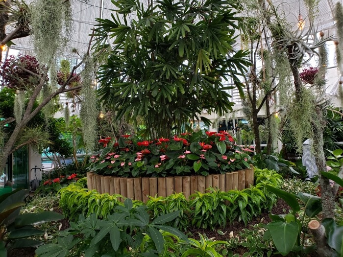 A centerpiece in the botanical garden surrounded by flowers and drooping mossy plants