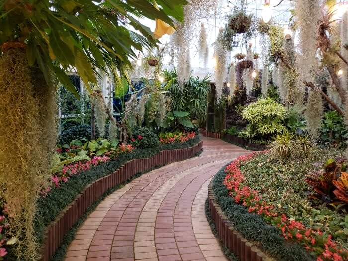 A brick pathway through the botanical garden bordered by red flowers with drooping plants overhead