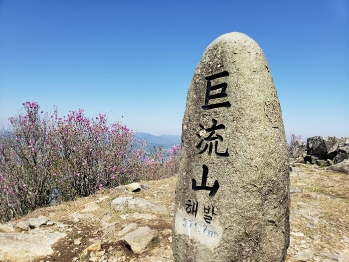 The Georyusan headstone up close with pink flowering bushes in the background