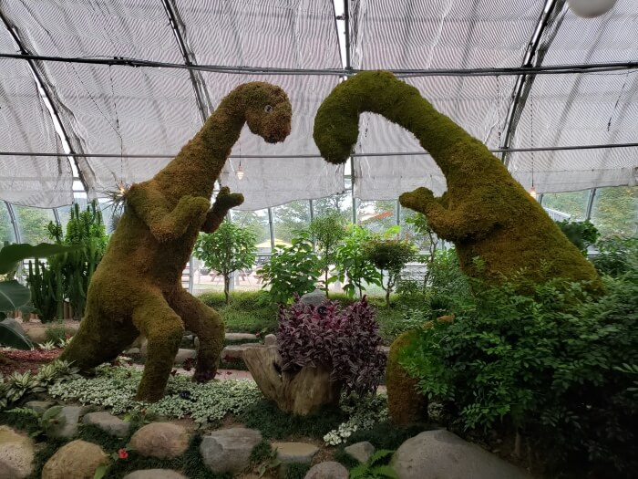 A pair of mossy covered dinosaurs in the botanical garden