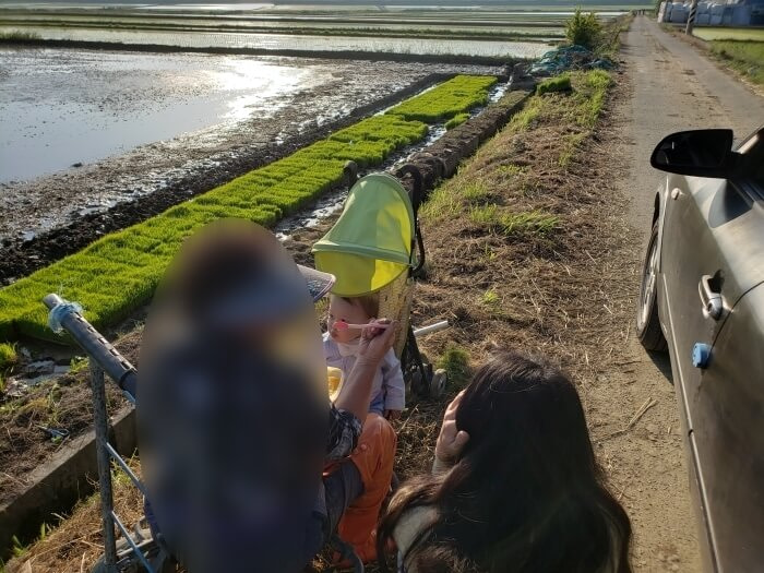 My mother-in-law spoon feeding Noah on the side of the rice field while in the stroller on a warm evening