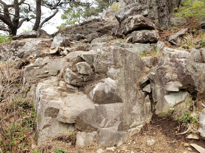 A large rock to be climbed over to continue on the trail