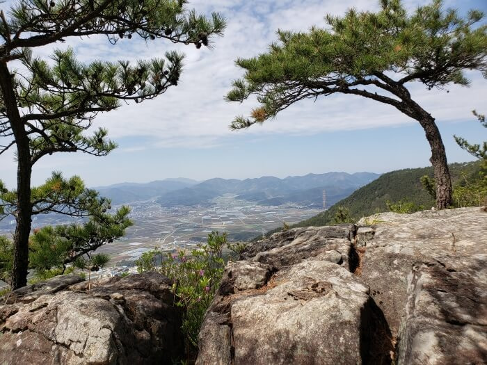 A nice view with rocks and pine trees in the foreground