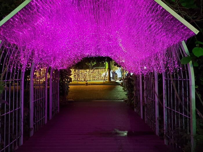 Bright pink fiber optic lights dangling in an archway at night